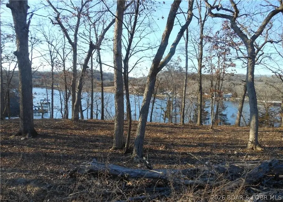 6 Jumping Bass Cove Road, Roach, MO 65787 - #2