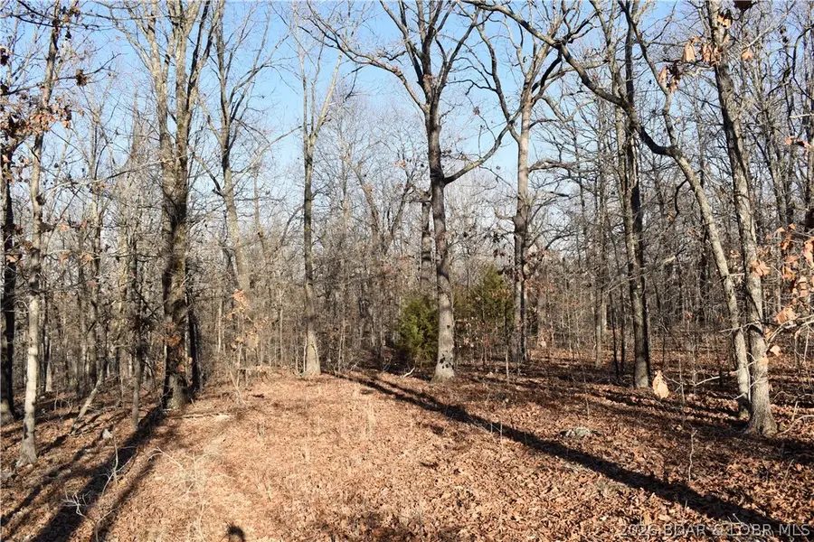 000 Restoration Hill Rd, Camdenton, MO 65020 - #2