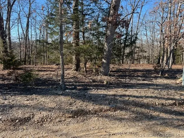 TBD Cornett Branch Street, Village Of Four Seasons, MO 65049 - #1