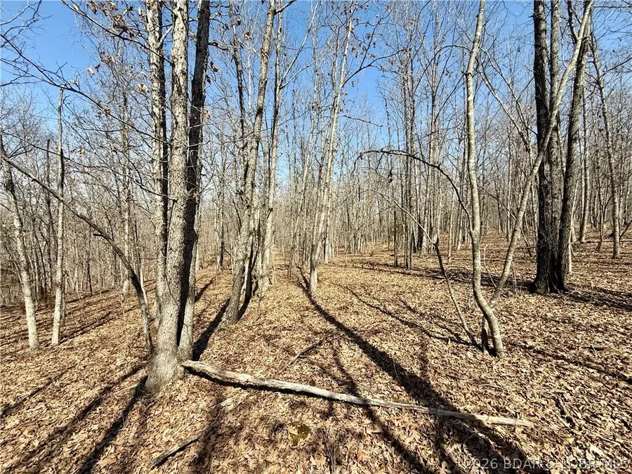 9 acres Shadey Ln, Versailles, MO 65084 - #2