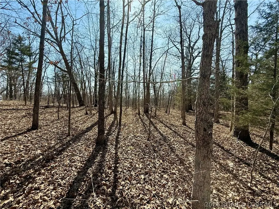 9 acres Shadey Ln, Versailles, MO 65084 - #3