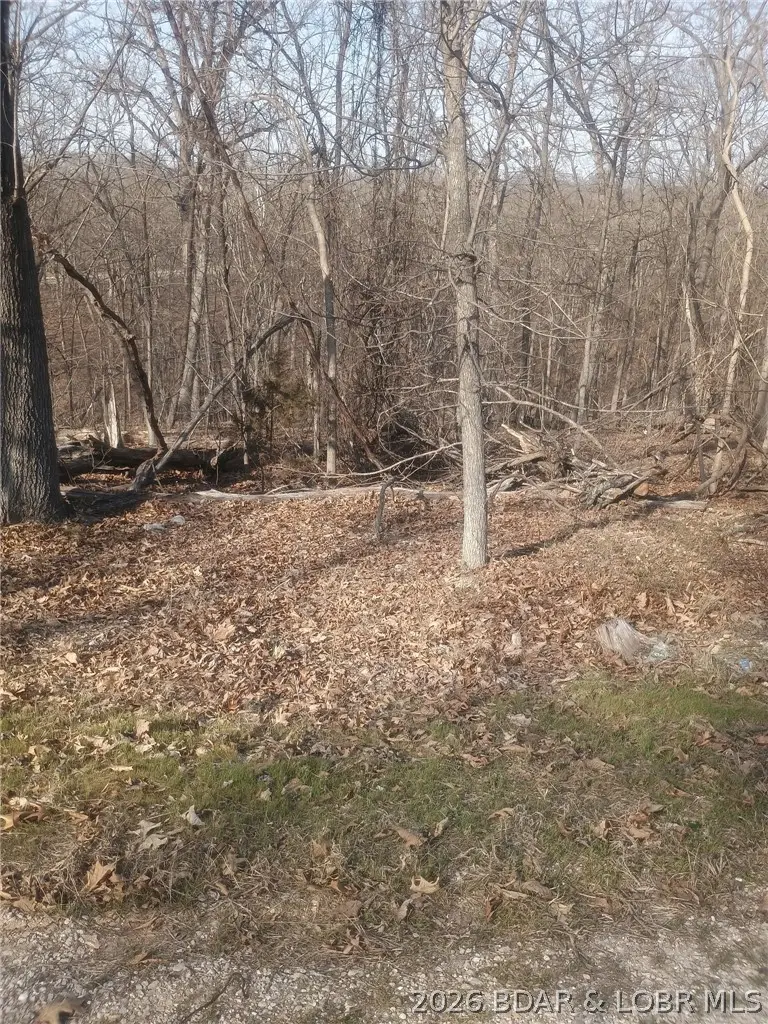 TBD LOT 46 Bloomington Drive, Village Of Four Seasons, MO 65049 - #2
