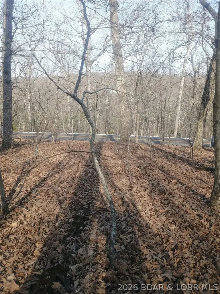 TBD LOT 344 Austin Drive, Village Of Four Seasons, MO 65049 - #3