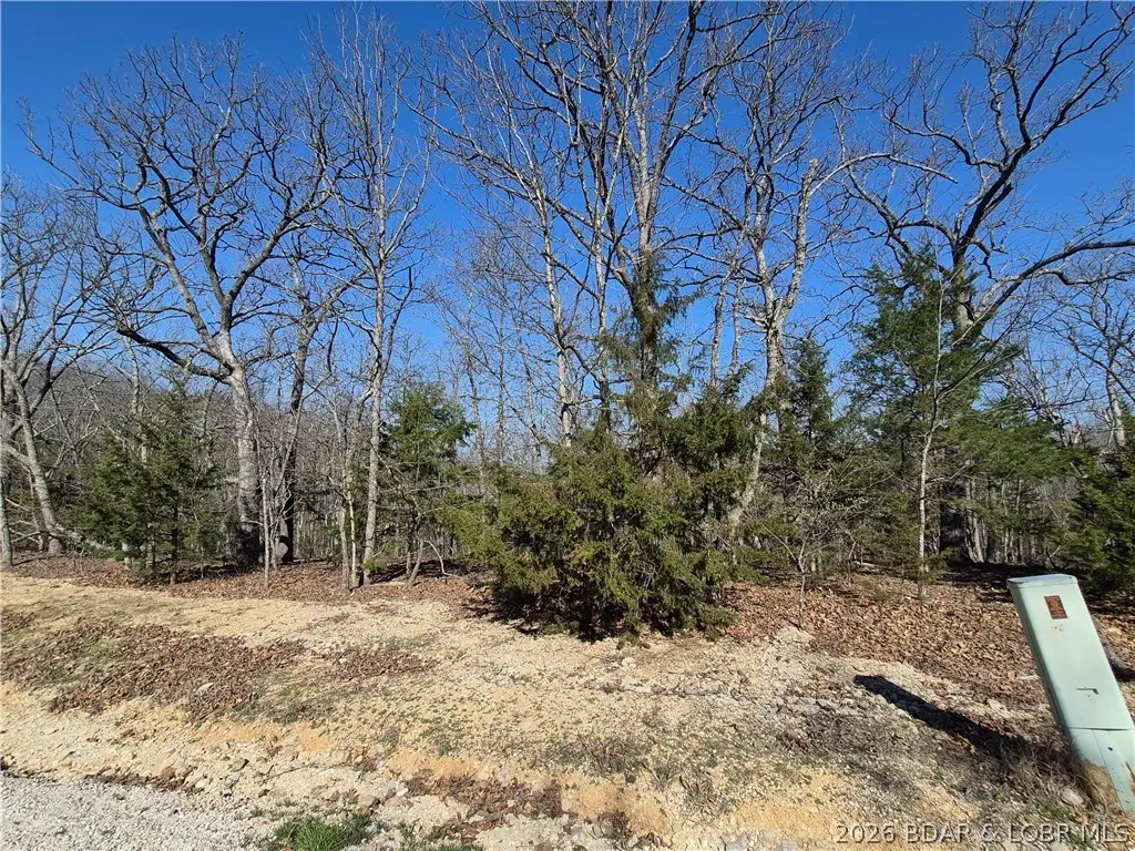 Lot 24 Golden Rod Road, Lake Ozark, MO 65049 - #1