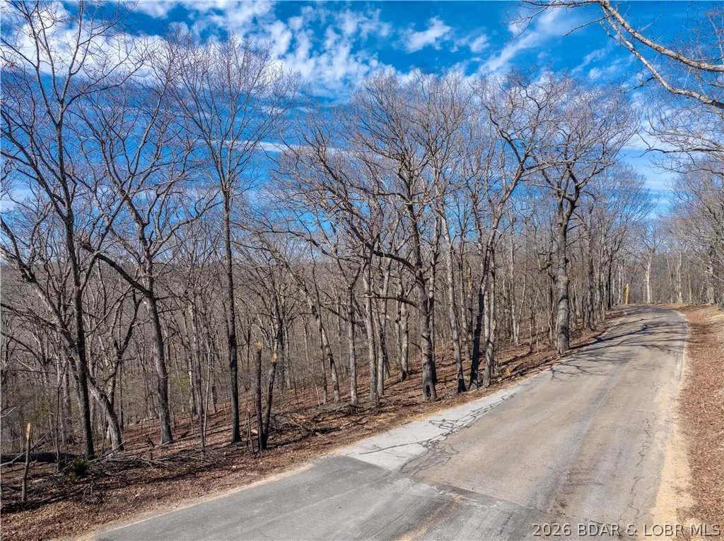Lot D-1A Skywater Road, Gravois Mills, MO 65037 - #1