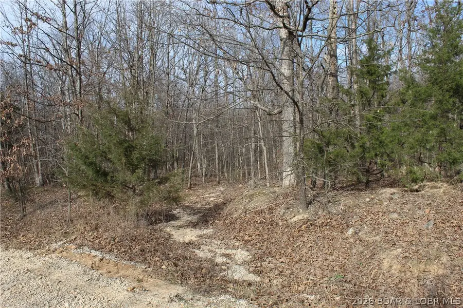 27607 Cathy Drive, Gravois Mills, MO 65037 - #2