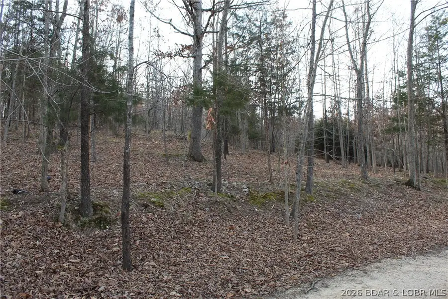 Lot 39 Grey Wolf Road, Gravois Mills, MO 65037 - #3