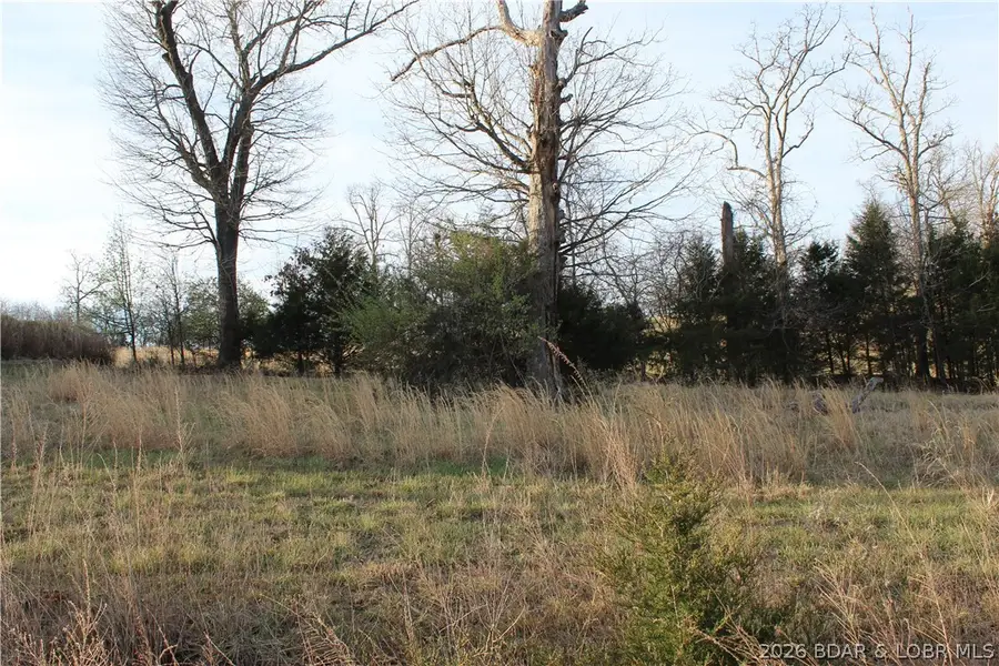 Lot C-12 Country Life Road, Gravois Mills, MO 65037 - #2