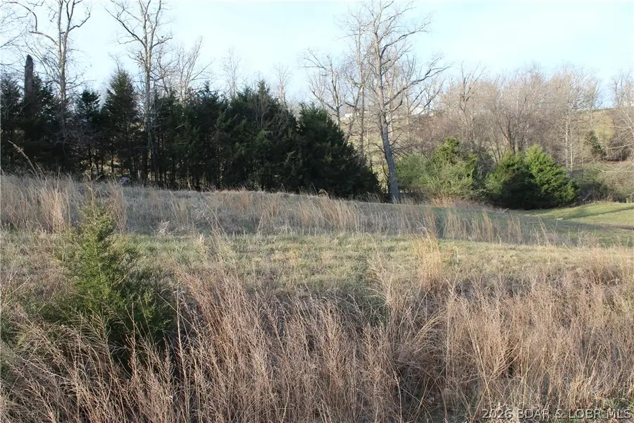 Lot C-12 Country Life Road, Gravois Mills, MO 65037 - #3
