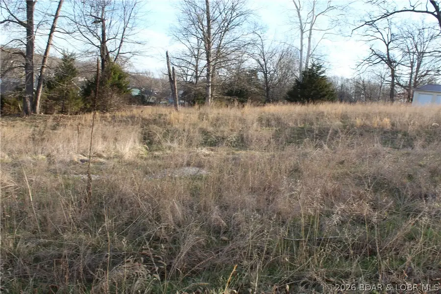 Lot C-8 Country Life Road, Gravois Mills, MO 65037 - #2