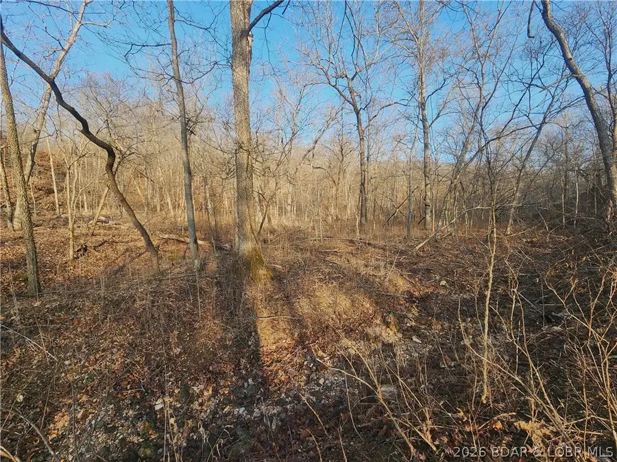 Lot 3 State J Road, Roach, MO 65787 - #3