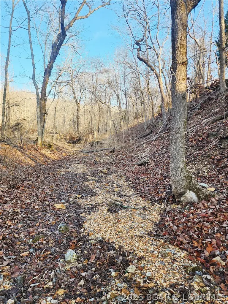 Lot 6 State J Road, Roach, MO 65787 - #2