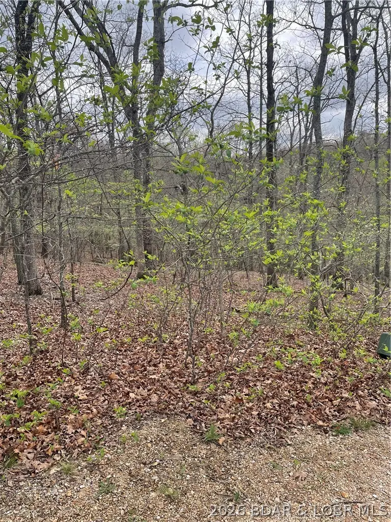 Lot 496 Akron Court, Lake Ozark, MO 65049 - #2