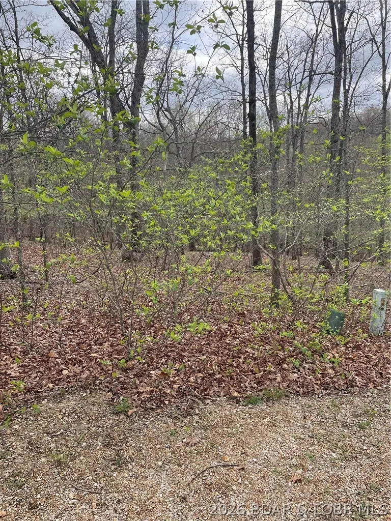 Lot 496 Akron Court, Lake Ozark, MO 65049 - #3
