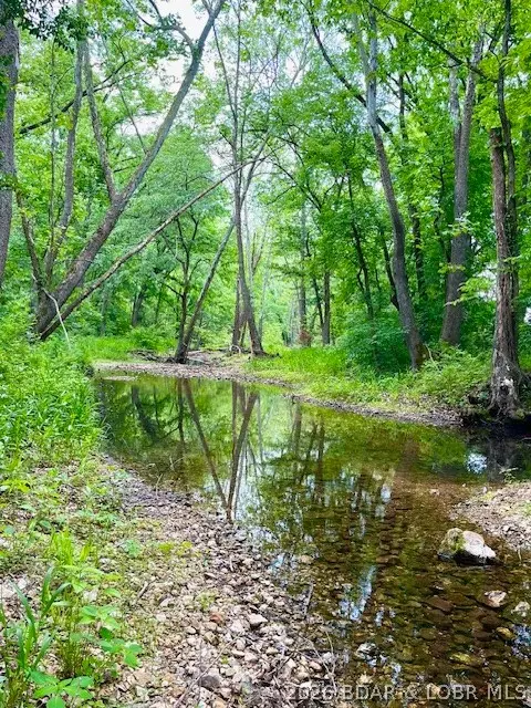 TBD Sara's Road, Barnett, MO 65011 - #3