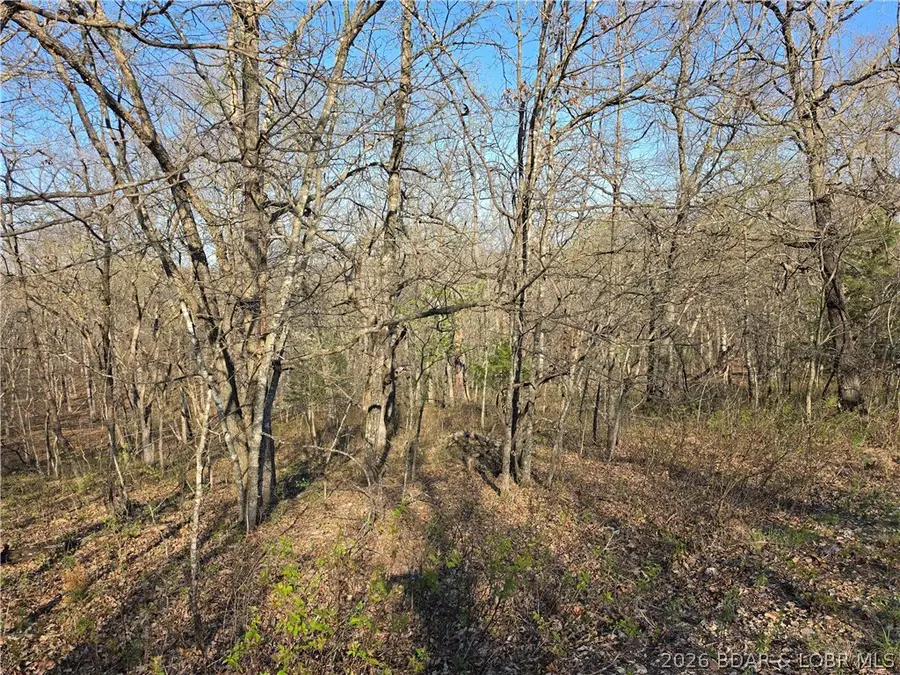 Galvin Place #2283, Edwards, MO 65326 - #3