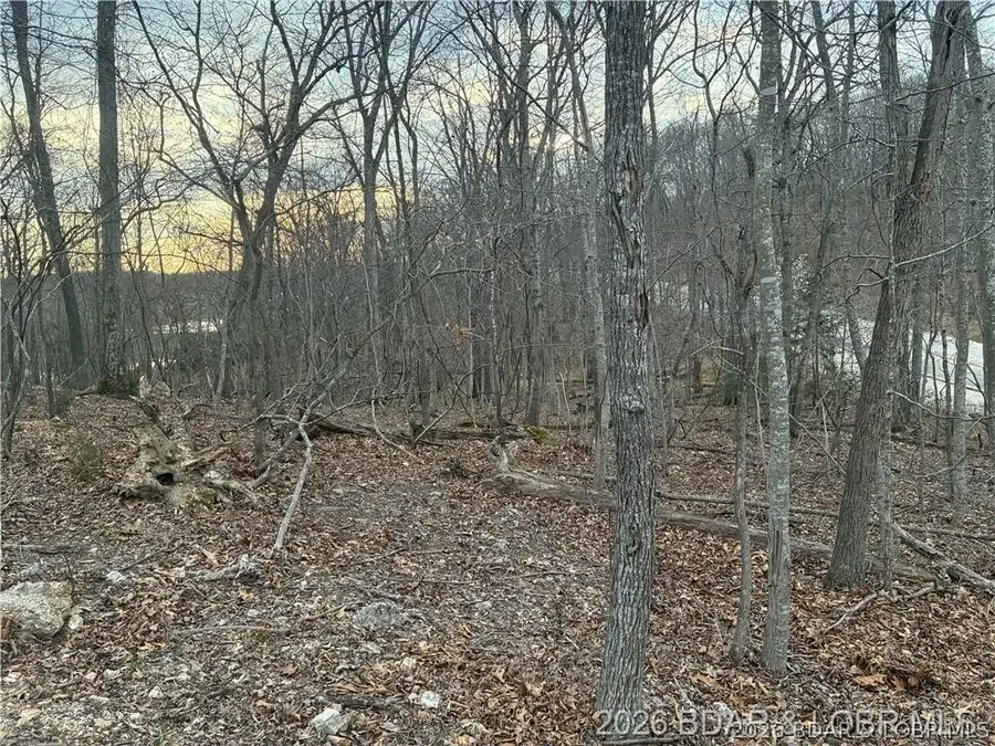 TBD LOT 116 Veronica Lane, Village Of Four Seasons, MO 65049 - #2