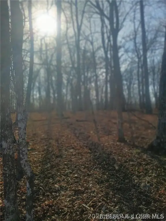 LOT TBD 344 Austin Circle, Village Of Four Seasons, MO 65049 - #2