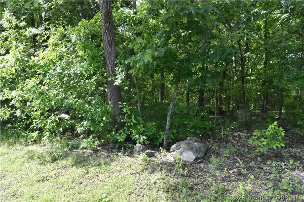 Lot 100 Horseshoe Bend Pkwy, Lake Ozark, MO 65049