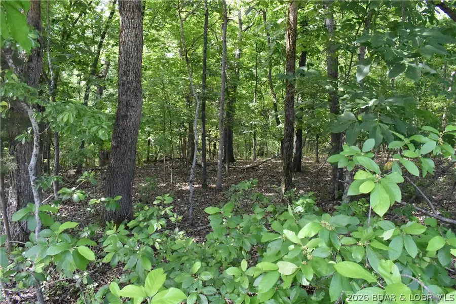 Lot 100 Horseshoe Bend Pkwy, Lake Ozark, MO 65049 - #3