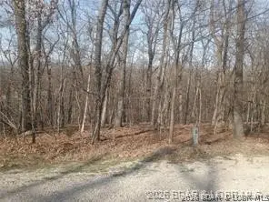 TBD LOT 47 & 48 Bloomington Drive, Village Of Four Seasons, MO 65049 - #2