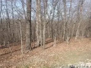 TBD LOT 47 & 48 Bloomington Drive, Village Of Four Seasons, MO 65049 - #3