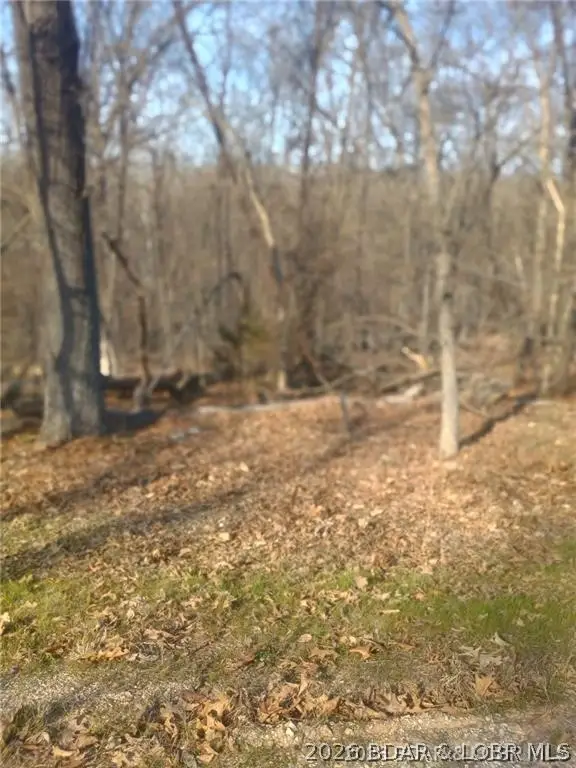 TBD LOT Bloomington Drive, Village Of Four Seasons, MO 65049 - #2