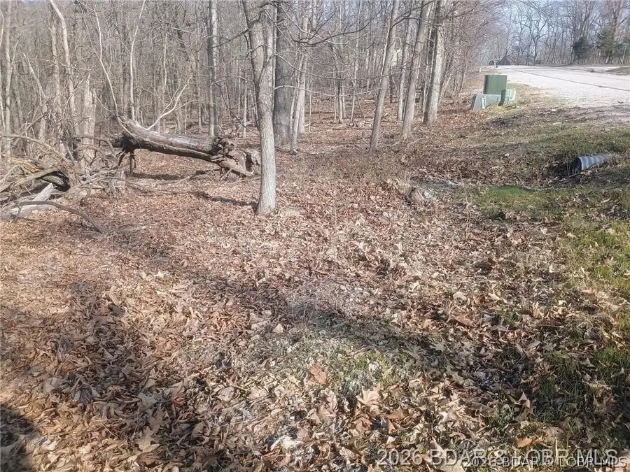 TBD LOT Bloomington Drive, Village Of Four Seasons, MO 65049 - #3