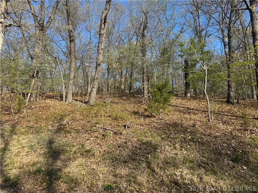 LOT 166 Albany Drive, Lake Ozark, MO 65049 - #2