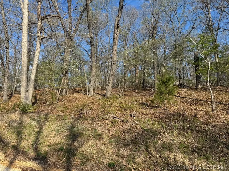 LOT 166 Albany Drive, Lake Ozark, MO 65049 - #3