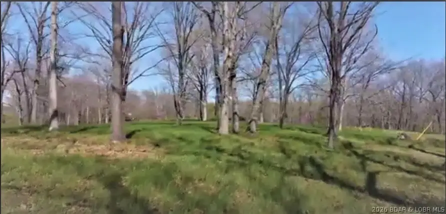 #6 Timber Ridge Est. 312' Estates, Versailles, MO 65084 - #3