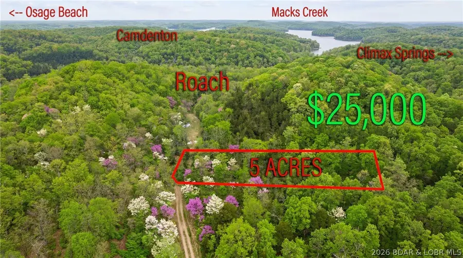 Copperhead Holler, Roach, MO 65787 - #2