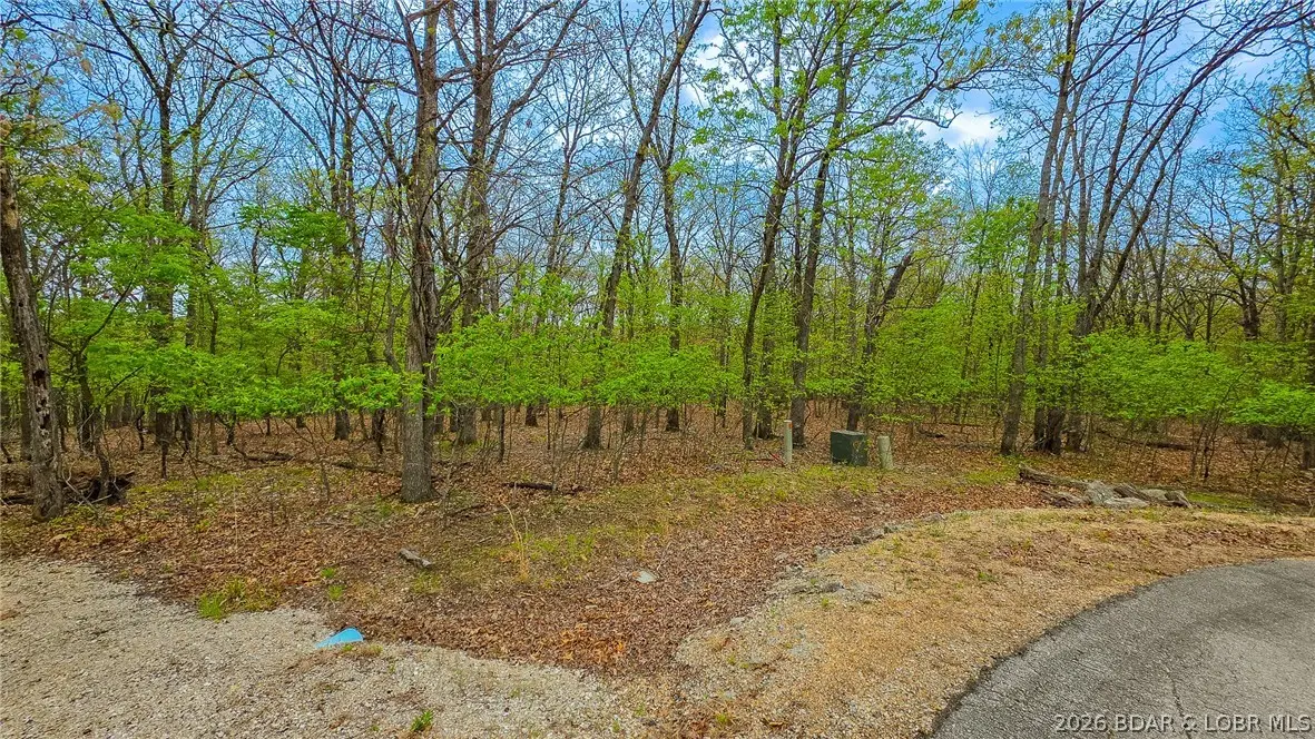 Lot #515-1 Eagles Cove Court, Sunrise Beach, MO 65079 - #1