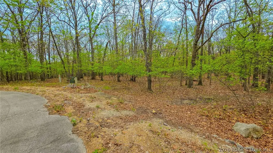 Lot #515-1 Eagles Cove Court, Sunrise Beach, MO 65079 - #2