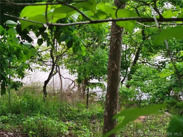 Emerald Hills Drive #Phase 5 Lot 2, Edwards, MO 65326