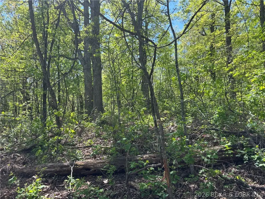 4.92 Ivy Bend Road, Stover, MO 65078 - #2