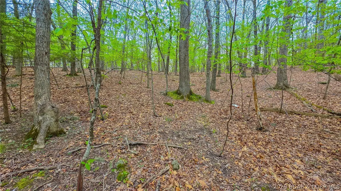 Lot #499 Grand View Drive, Sunrise Beach, MO 65079 - #1