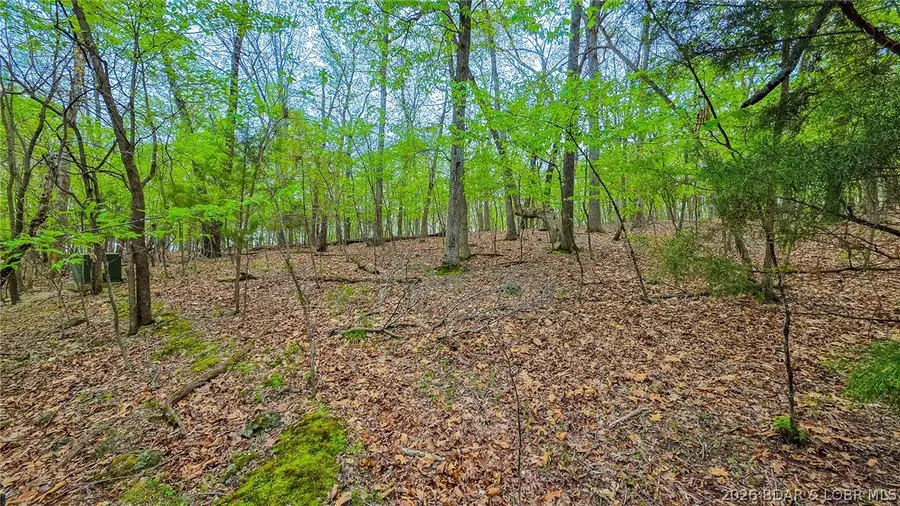 Lot #499 Grand View Drive, Sunrise Beach, MO 65079 - #2