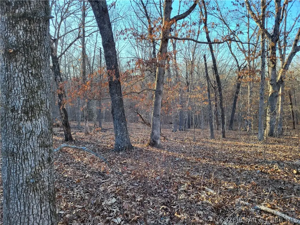 Wenzel Place #216, 217, 218 & 219, Edwards, MO 65326 - #1
