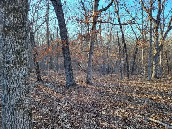 Wenzel Place #216, Edwards, MO 65326
