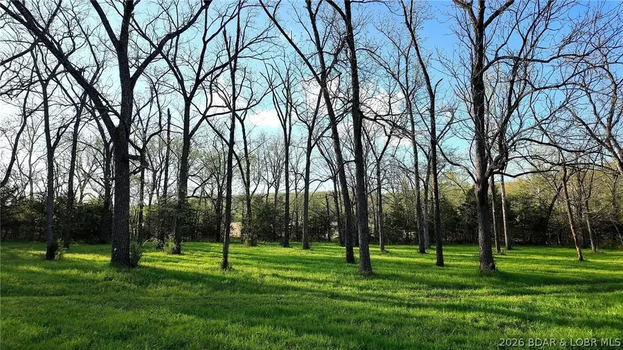 TBD Brainerd Lane, Crocker, MO 65452 - #3