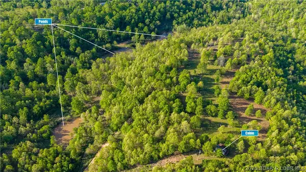 40 Acres State Road D, Camdenton, MO 65020