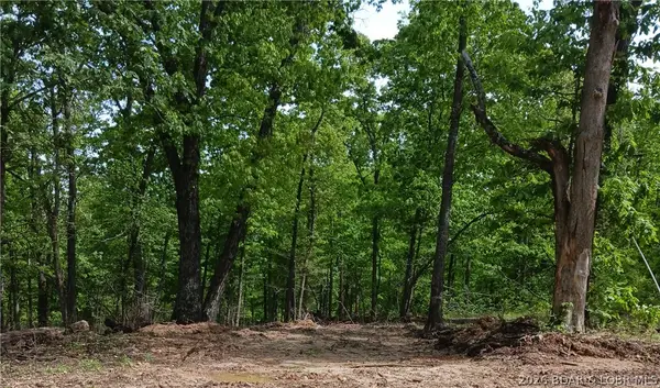 TBD Possum Trot Road, Stover, MO 65078