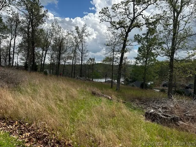 Lot 22 River Oaks Lane, Camdenton, MO 65020 - #2