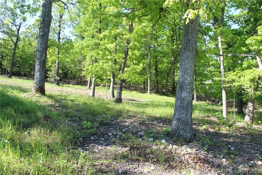 Lots 60&61 Osage Avenue, Laurie, MO 65037 - #3