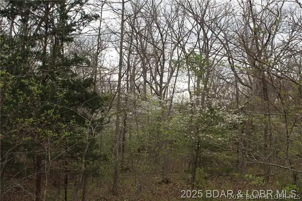 15516 Highway P, Gravois Mills, MO 65037