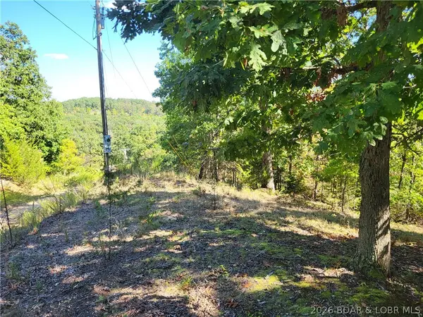 32534 Compromise Road, Gravois Mills, MO 65037