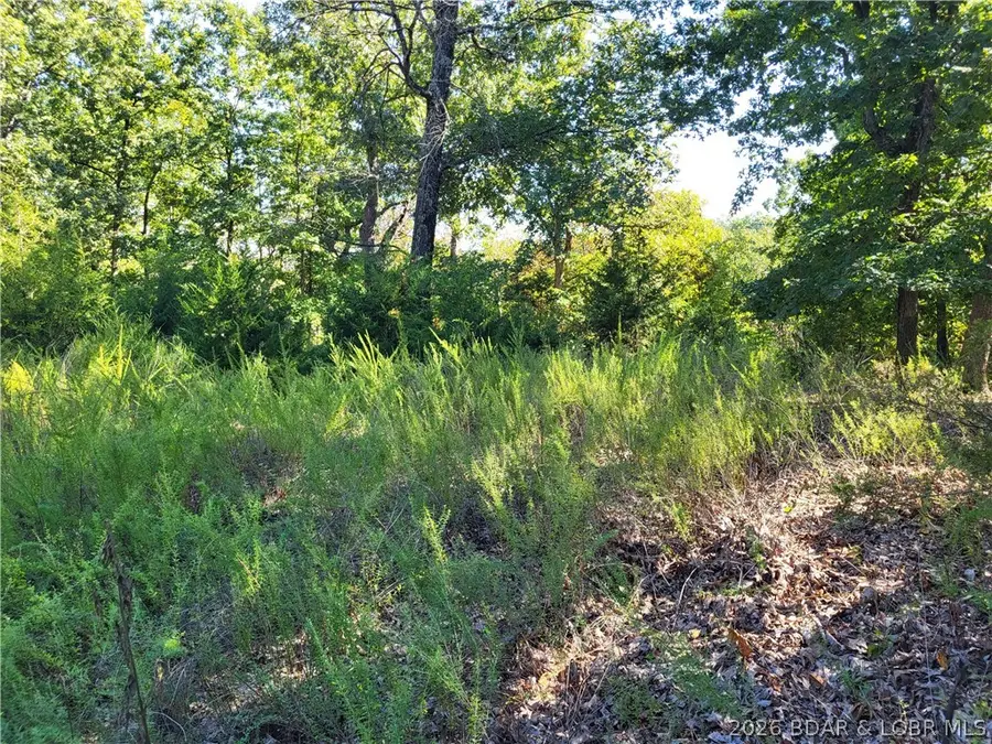 32534 Compromise Road, Gravois Mills, MO 65037 - #3