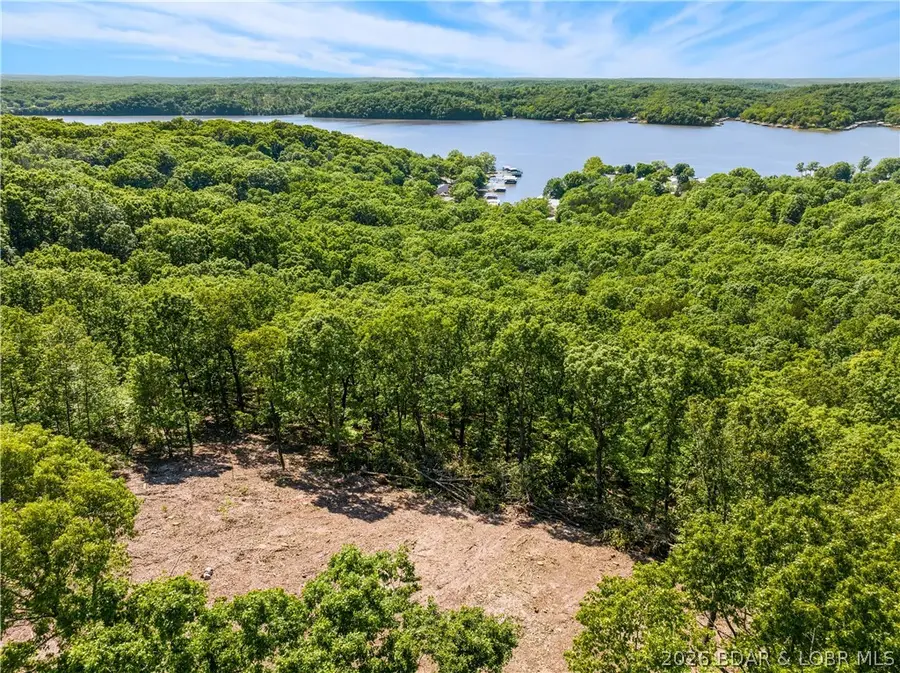 11.31 AC Wilson Bend Road, Gravois Mills, MO 65037 - #3