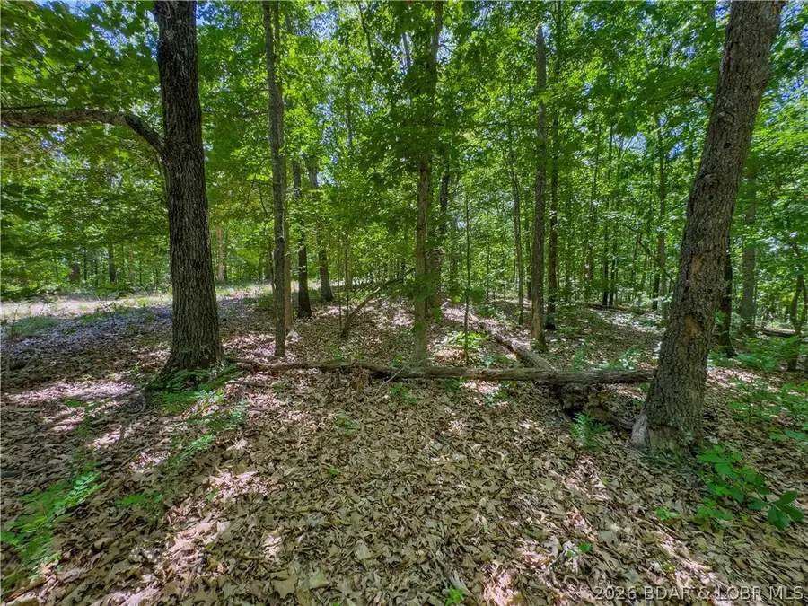 Valley Spring Road, Camdenton, MO 65020 - #3